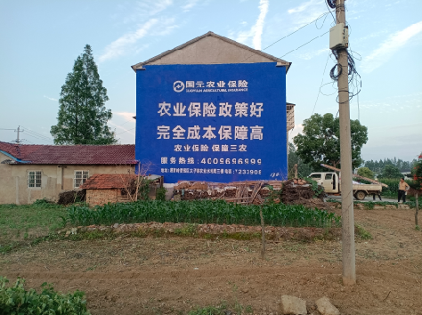 龙州墙体广告的优劣势你知道吗？