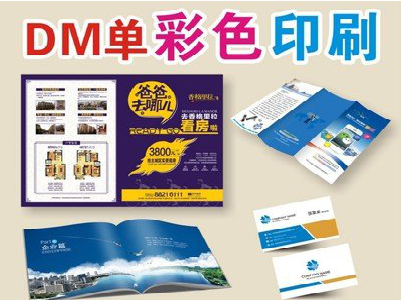 龙州单页印刷，色彩搭配简单。